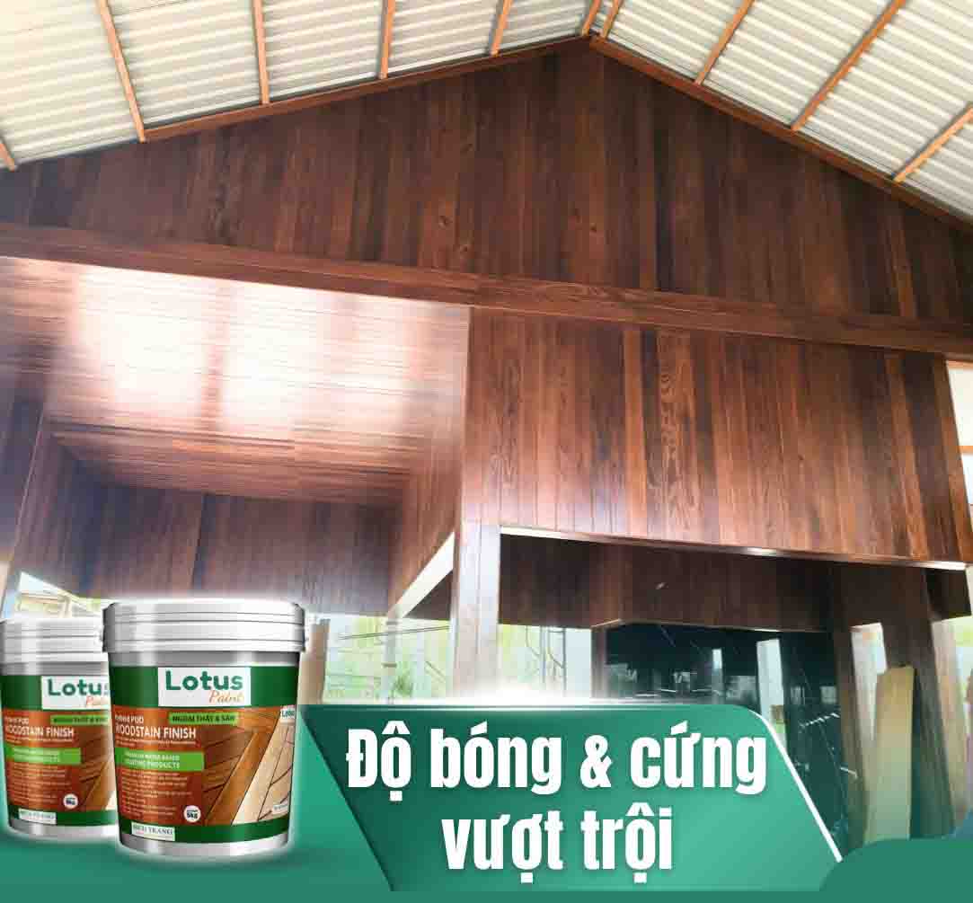 màu sơn gỗ đẹp xu hướng nhất trên thị trường màu sơn gỗ đẹp xu hướng nhất trên thị trường