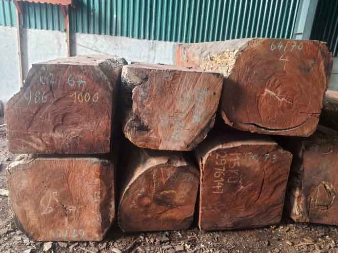 Gỗ nguyên khối là gì?